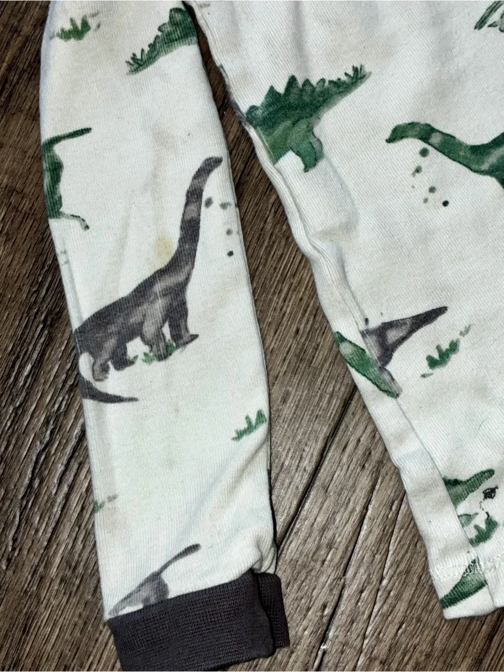Burt's Bees Green and Gray Dinosaur Pajama Set